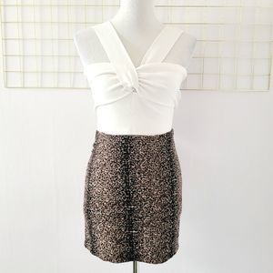Torn by Ronny Kobo Pleated Leopard Cheetah Print Mini Skirt